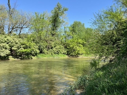 Carmody Park Image