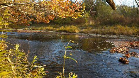 still water prairie reserve Image