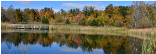 maple ridge access Image